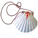 concha de peregrino concha de peregrino